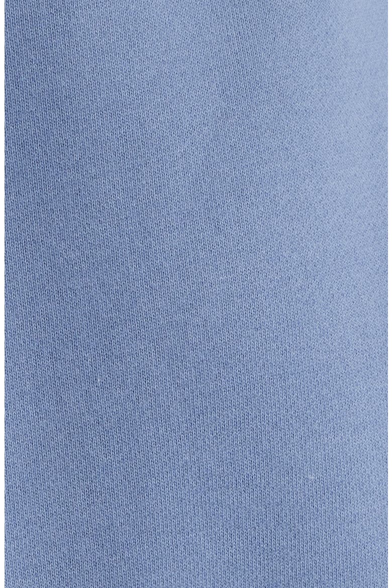 Puff Series Core Logo Cotton Blend Hoodie, Alternate, color, VINTAGE BLUE