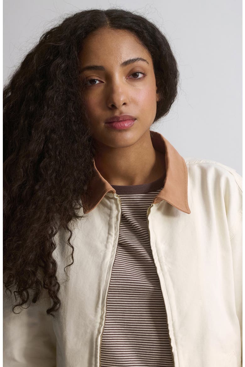 Turtledove Jacket, Alternate, color, TURTLEDOVE