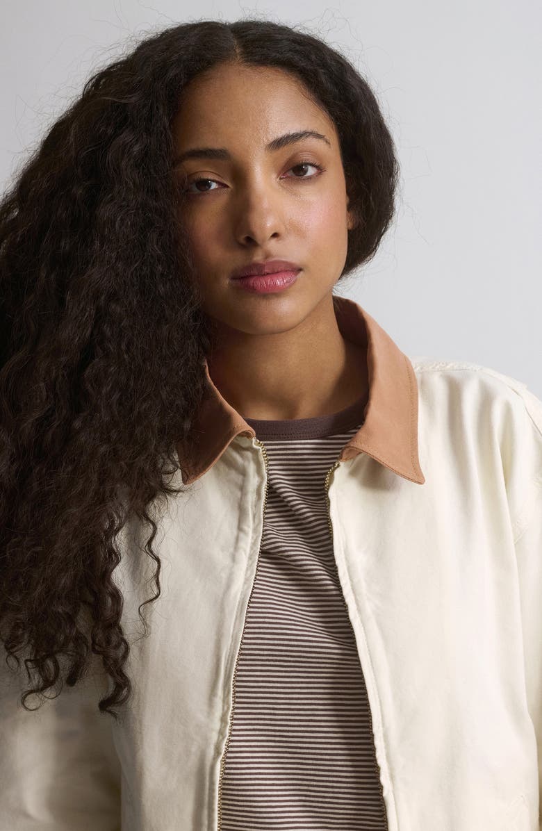 Brooklyn Industries Turtledove Jacket, Alternate, color, Turtledove