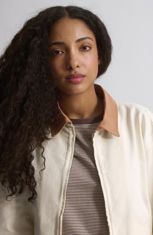 Brooklyn Industries Turtledove Jacket