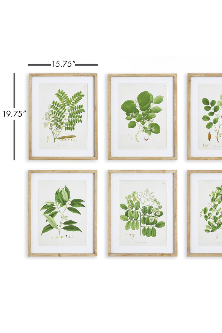 Tree Leaf Study, Set Of 6, Alternate, color, Green