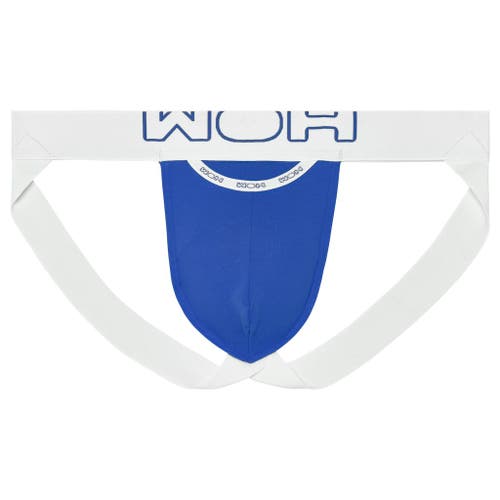 WOH Sexy Fun Jockstrap in Blue  product