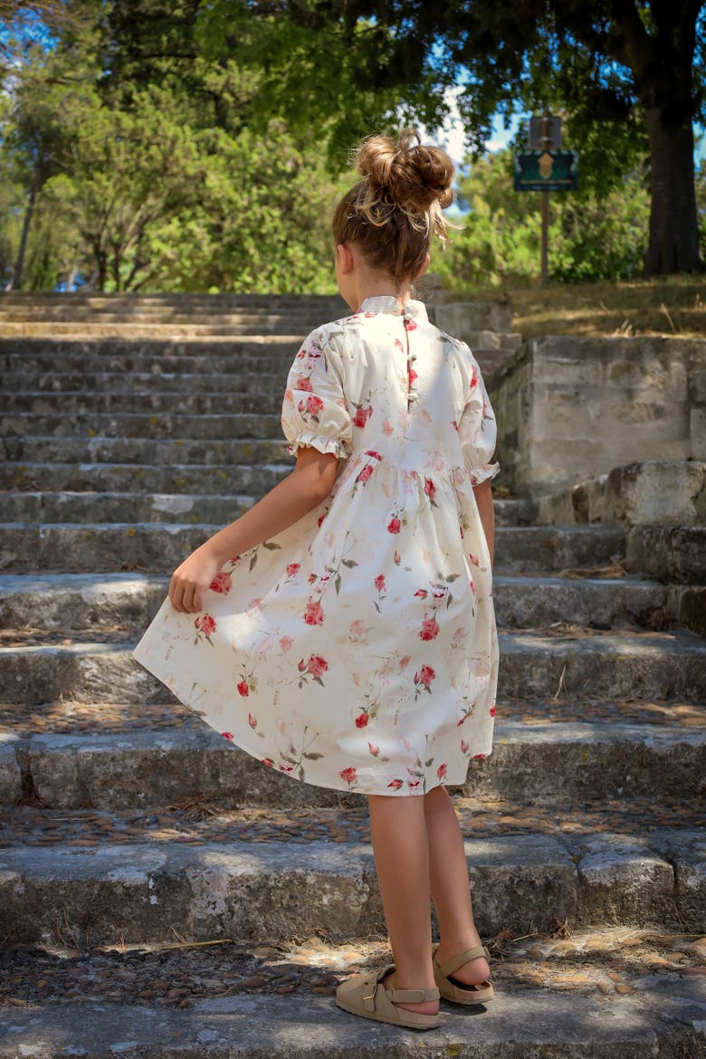 Madeleine Dress, Alternate, color, Rose Garden Toile