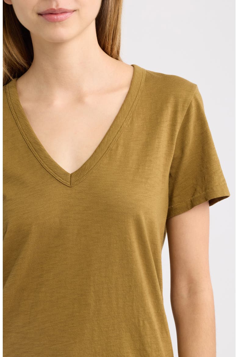 The Slub V-Neck T-Shirt, Alternate, color, GOLDEN KHAKI