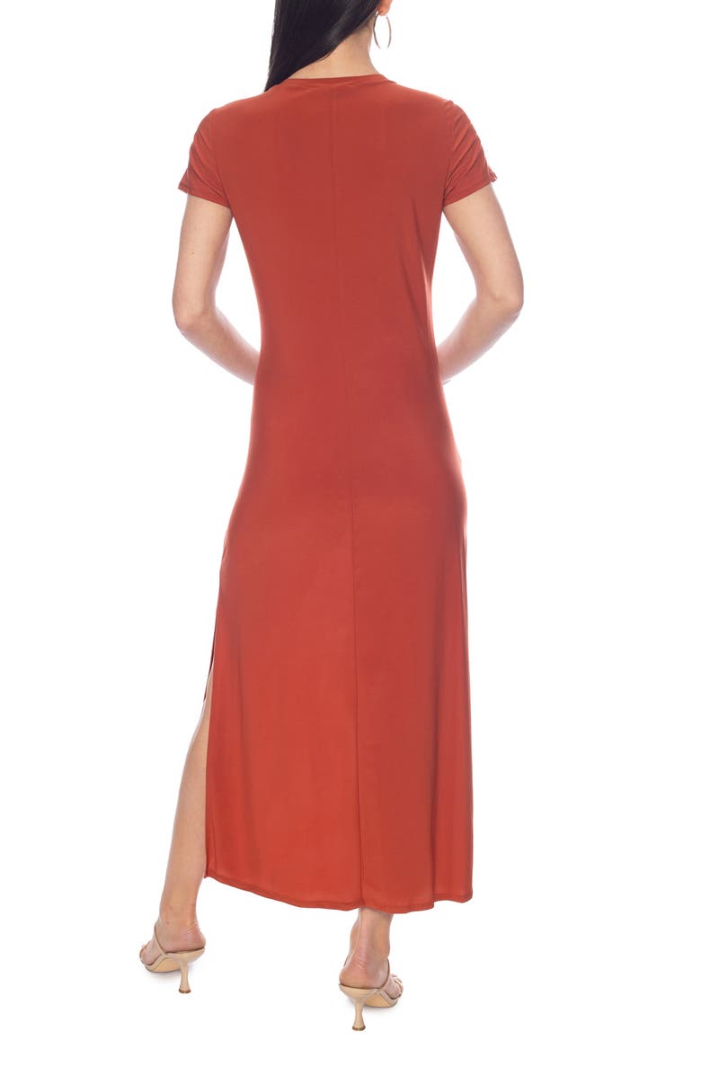 TASH AND SOPHIE Ity V-Neck Midi Dress, Alternate, color, Rust