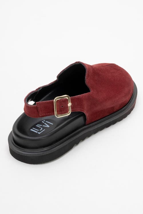 Forever & Always Shoes Laby Leather Clogs