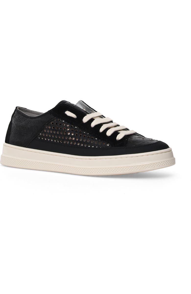Candice Cooper Tim Perforated Leather Lace-Up Sneaker, Main, color, Black