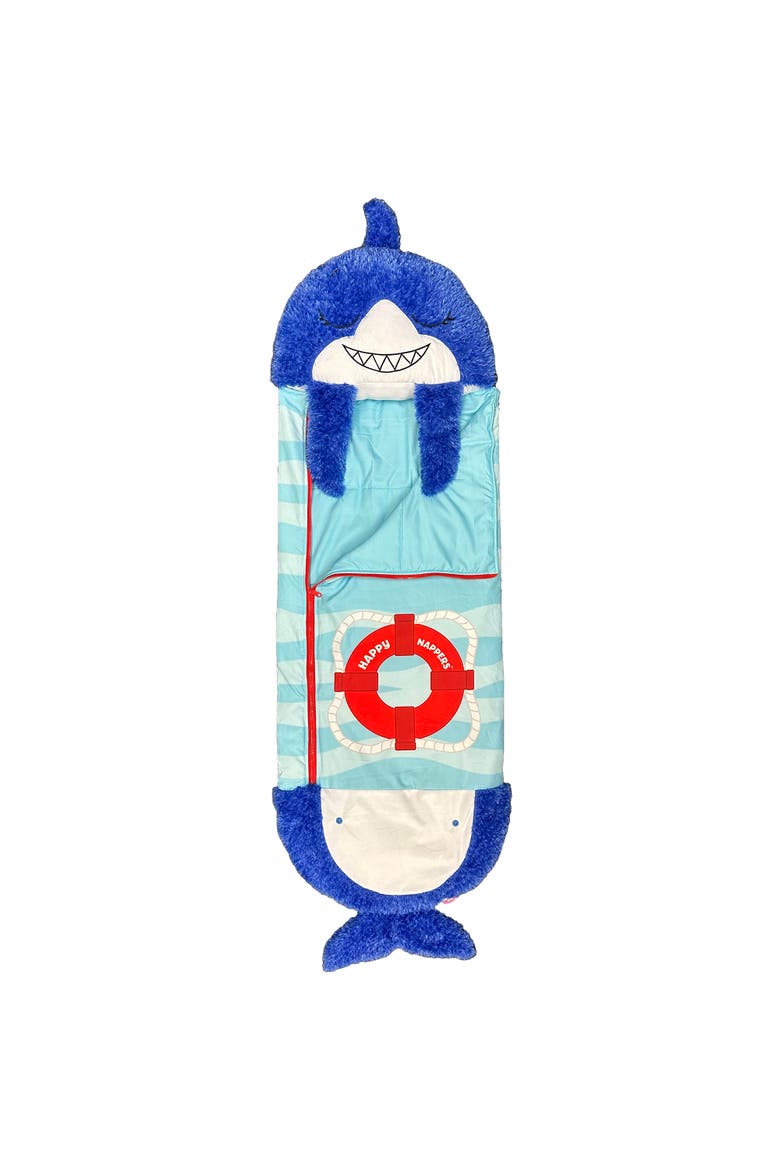 Large Pillow & Sleepy Sack, Main, color, Multicolored