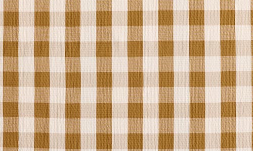 Pendleton Reversible Fringe Organic Cotton Throw In Brown