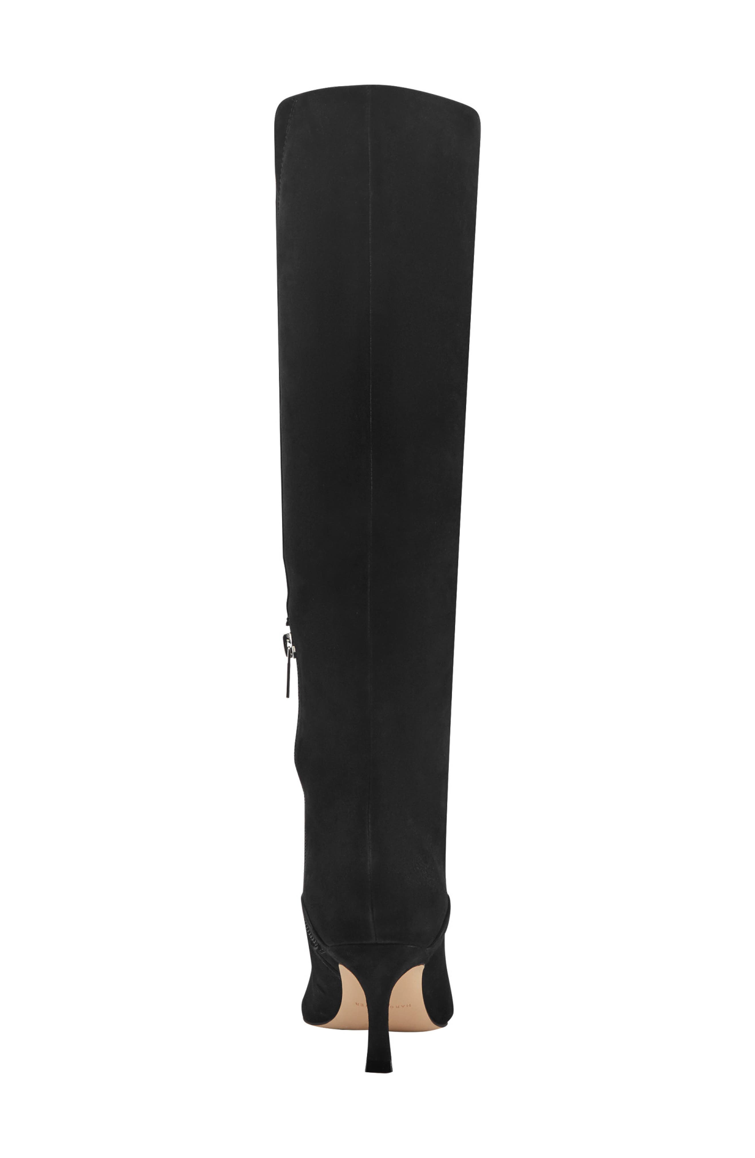 Visola Pointed Toe Knee High Boot, Alternate, color, BLACK
