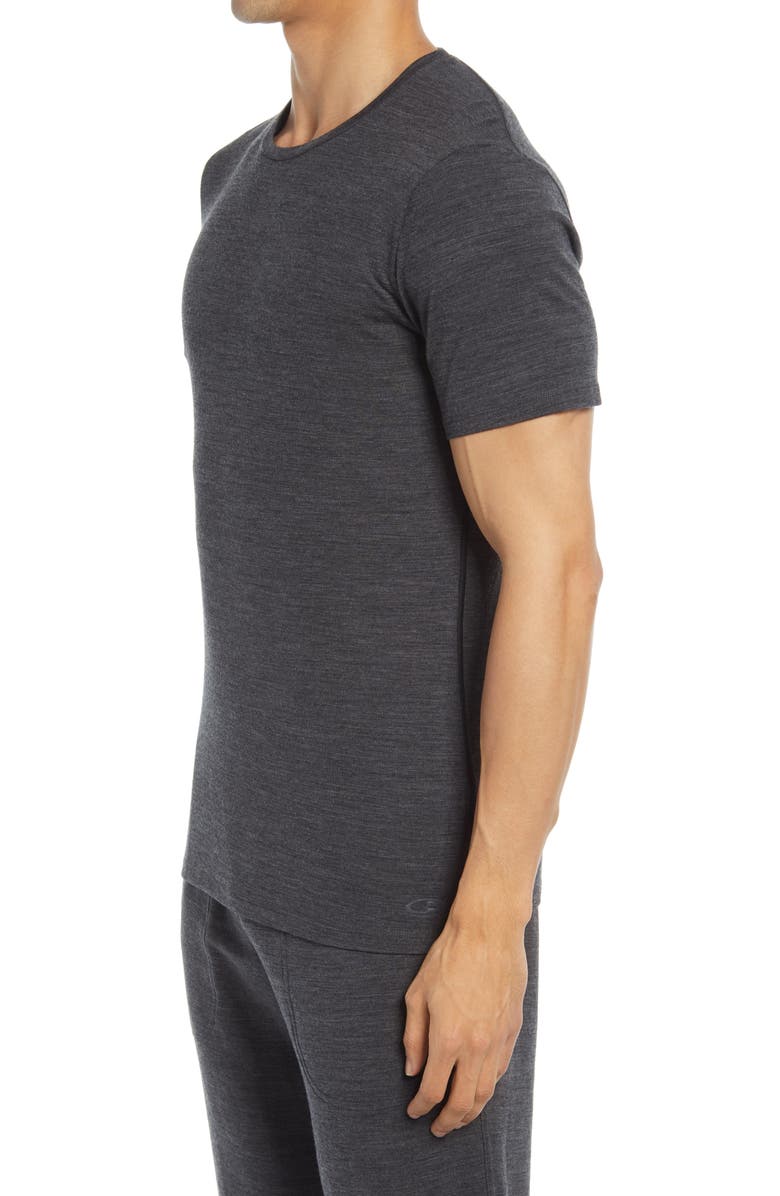 Icebreaker Anatomica Short Sleeve Crewneck T-Shirt, Alternate, color, 