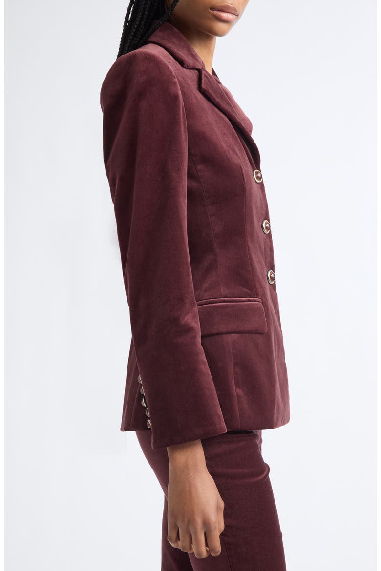 Raelynn Velvet Jacket, Alternate, color, BURGUNDY