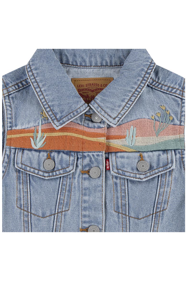 Kids' Embroidered Raw Hem Denim Vest, Alternate, color, DESERT SKY