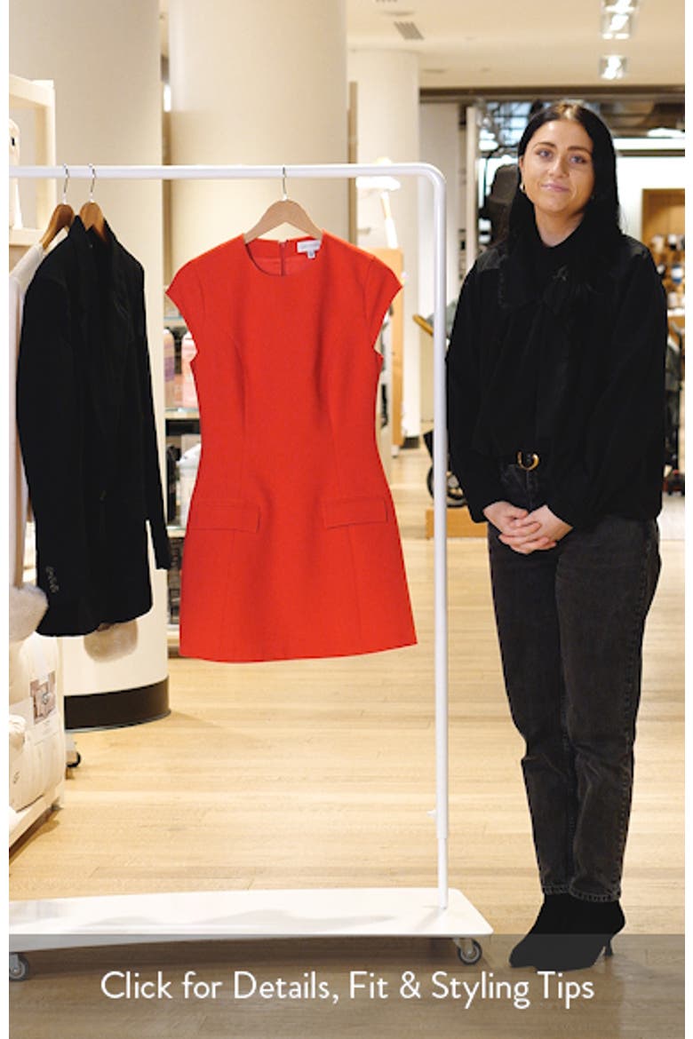 Marie Cap Sleeve Minidress video