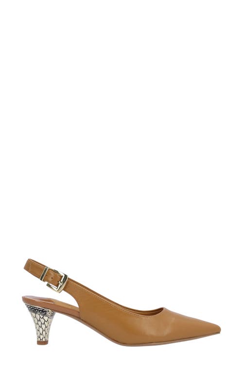 J. Reneé Mayetta Slingback Pointed Toe Pump In Brown