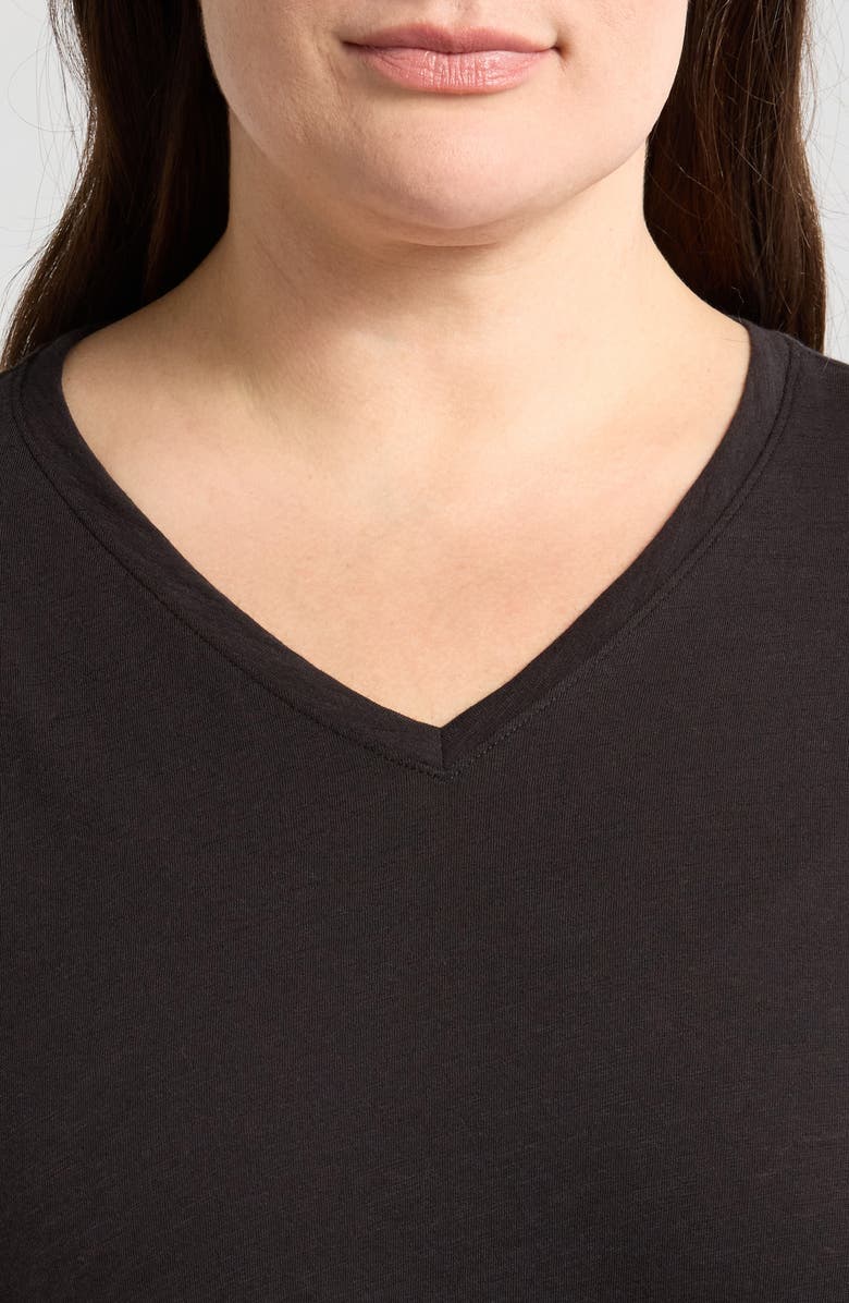 Eileen Fisher Easy V-Neck Organic Cotton T-Shirt, Alternate, color, Black