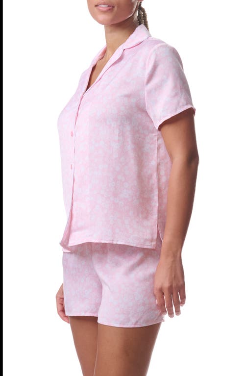 Splendid Boxer Shorts Pajamas In Daisy Toss