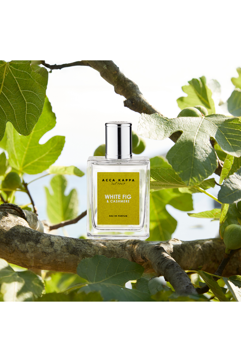White Fig & Cashmere Eau de Parfum, Alternate, color, White