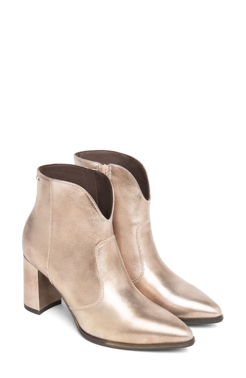 Nerogiardini V-cut Bootie In Gold