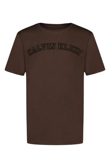 Calvin Klein Kids' Varsity Logo T-shirt In Brown