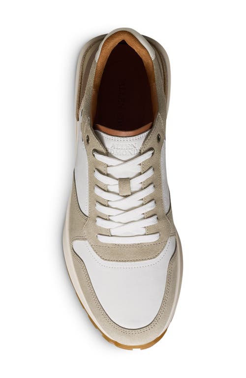 Allen Edmonds Lionel Lace-up Sneaker In White Multi