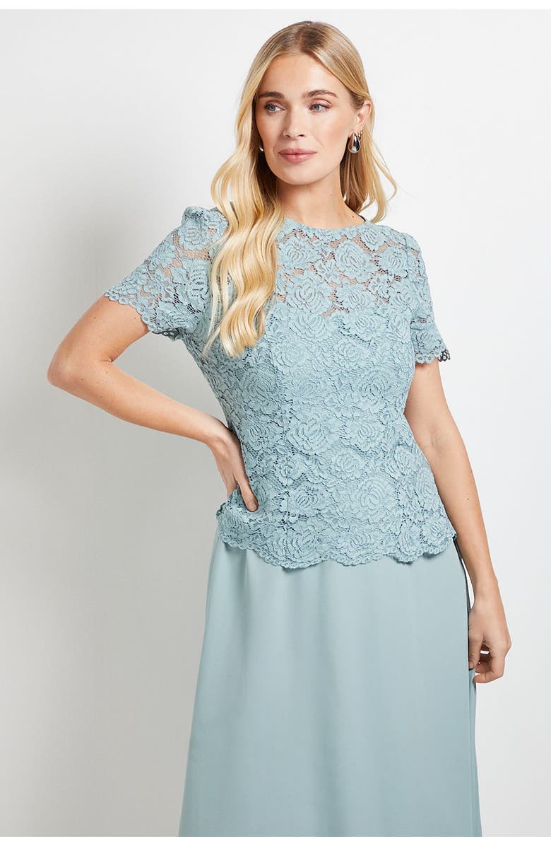 Wallis Petite Lace Overlay Midi Dress, Alternate, color, Sage