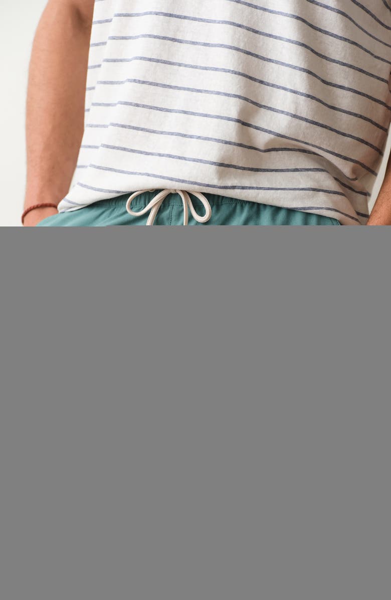 Marine Layer Lined Sport and Swim Shorts, Alternate, color, Deep Sea