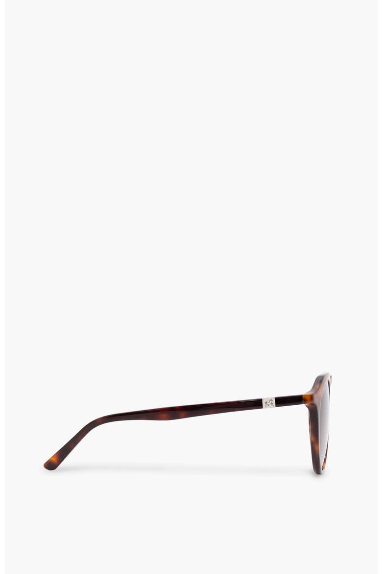 Sunglasses City, Alternate, color, Brown