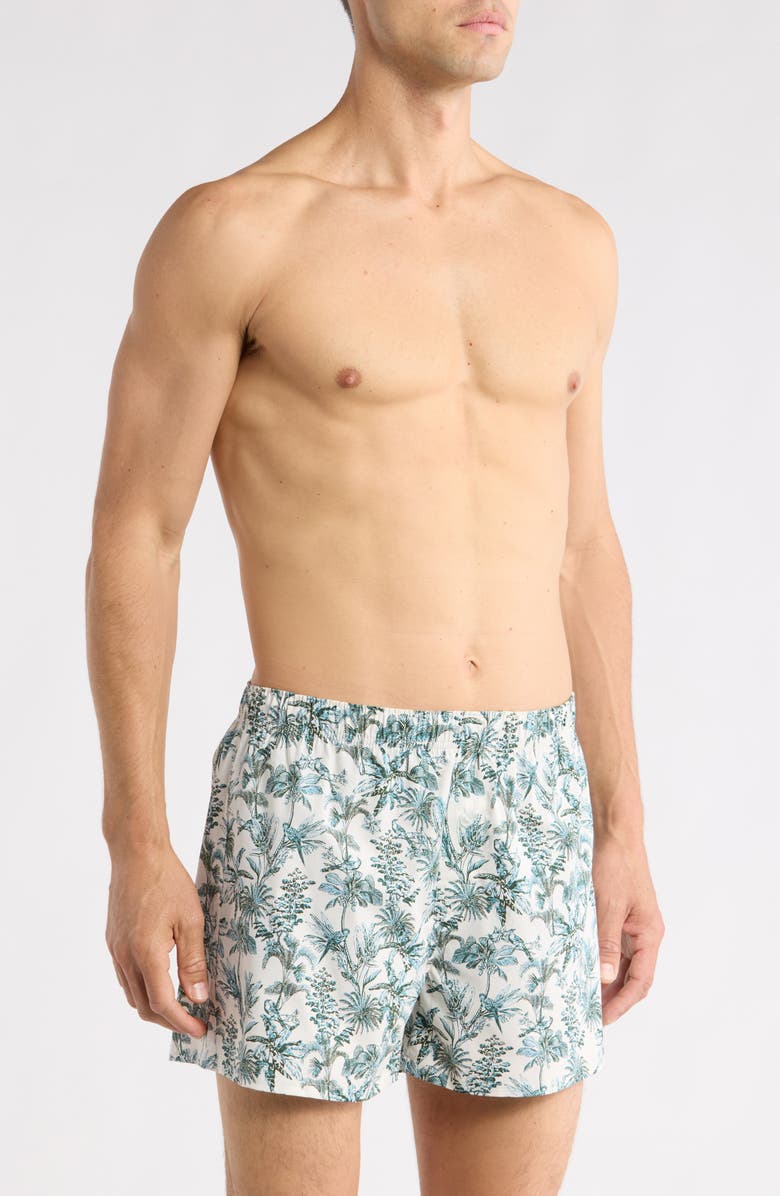 Nordstrom Modern Woven Stretch Cotton Boxers, Alternate, color, White- Green Tropical Toile