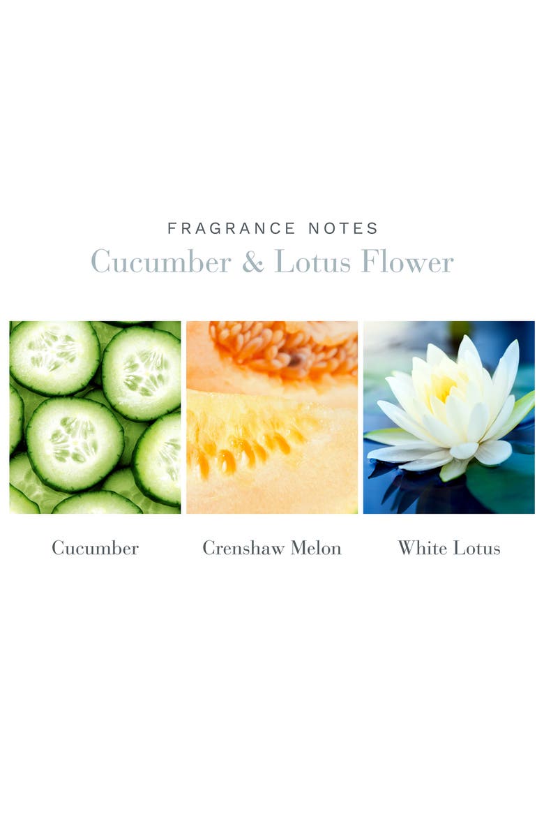 Antica Farmacista Cucumber & Lotus Flower Home Ambiance Perfume, Alternate, color, 