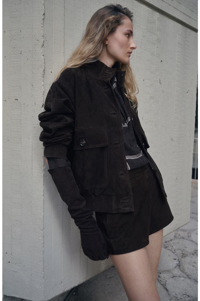 Suede Jacket, Alternate, color, BROWN