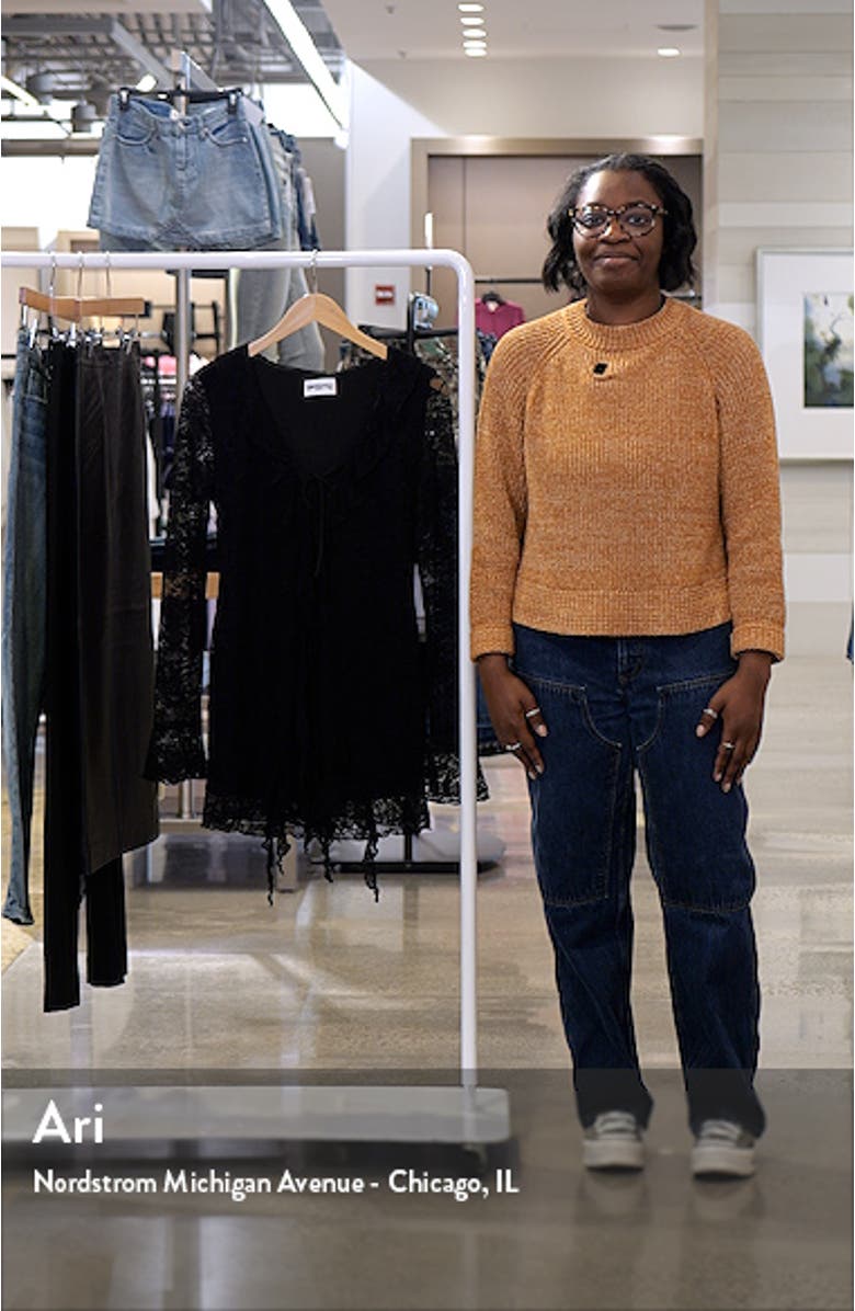 Braun Embroidered Lace Long Sleeve Minidress, sales video thumbnail