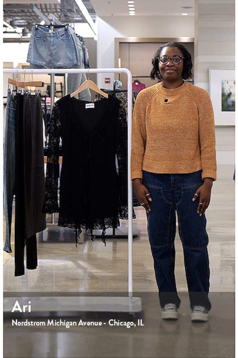Braun Embroidered Lace Long Sleeve Minidress video