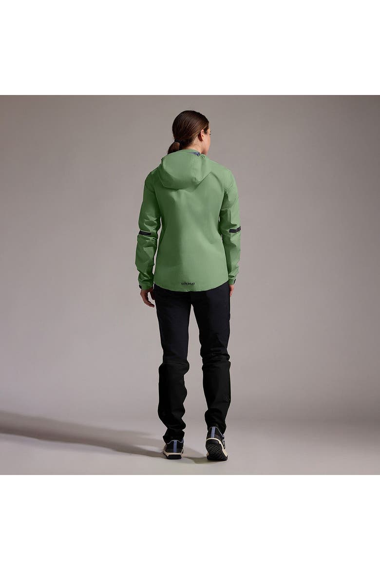 Lupra 2.0 Gore-Tex Hooded Jacket - Women's, Alternate, color, Engine Green