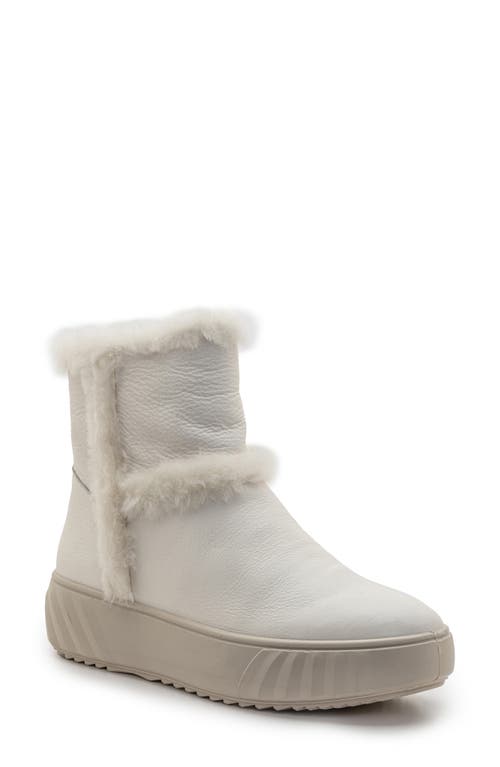 ara Marquette Genuine Shearling Trim Boot in Cream 