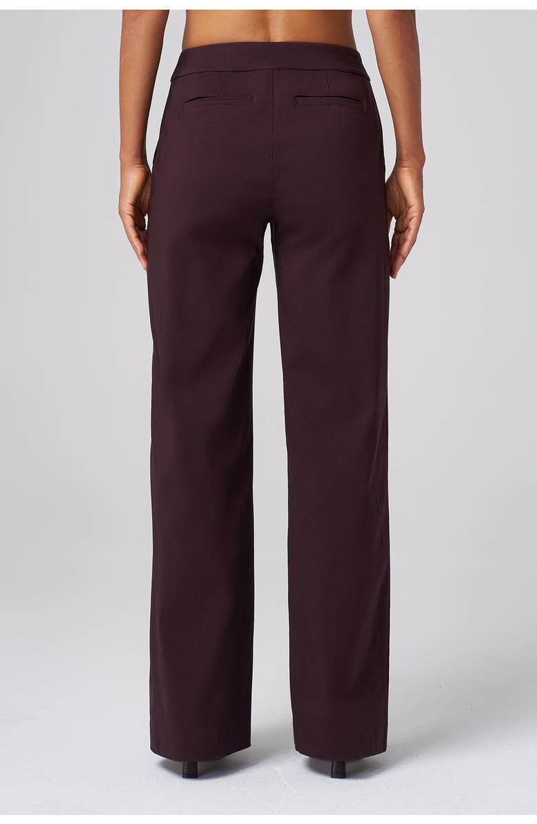 Franne Golde Wilshire Stretch Straight-Leg Pant, Alternate, color, Black Cherry