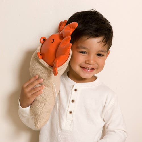 Little Big Friends Musical Animals In Multi