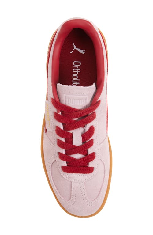 Puma Palermo Sneakers In Rose Mauve-dark Crimson