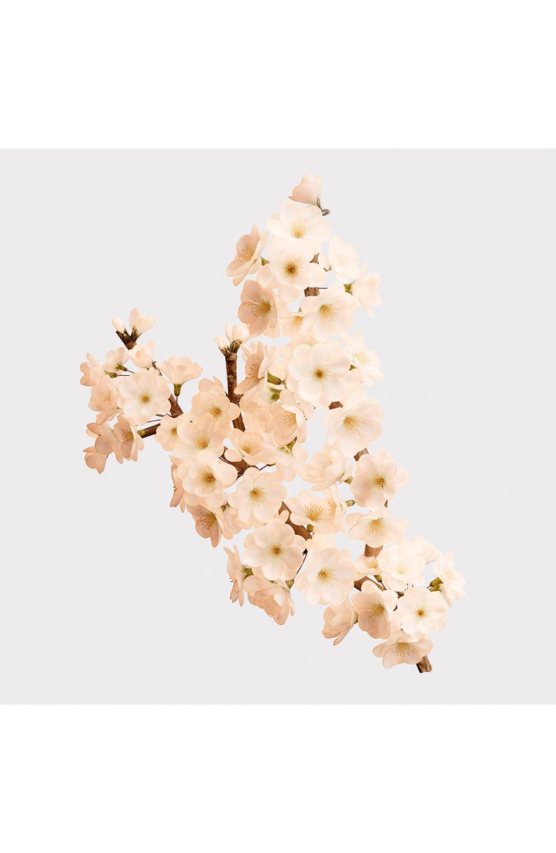 Burberry Her Blossom Eau de Toilette, Alternate, color, 