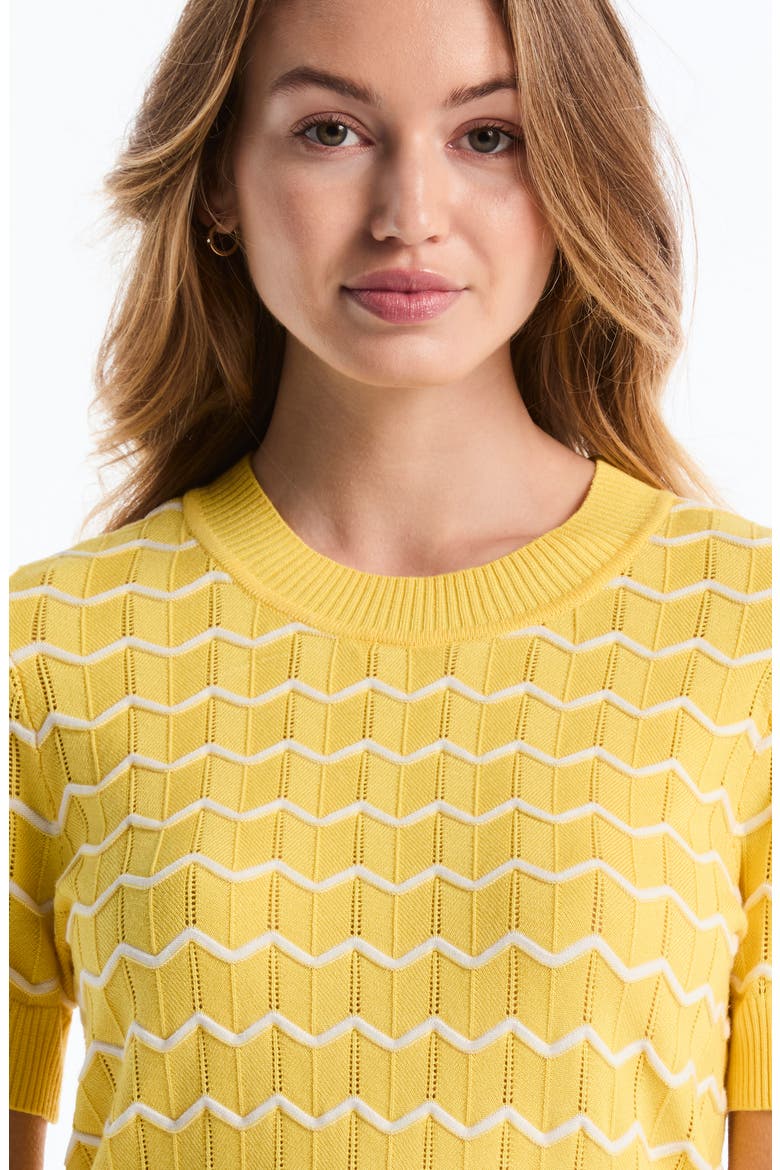 Chevron Short Sleeve Sweater, Alternate, color, ASPEN GOLD