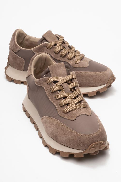 Forever & Always Shoes Amanda Leather Sneakers In Multi