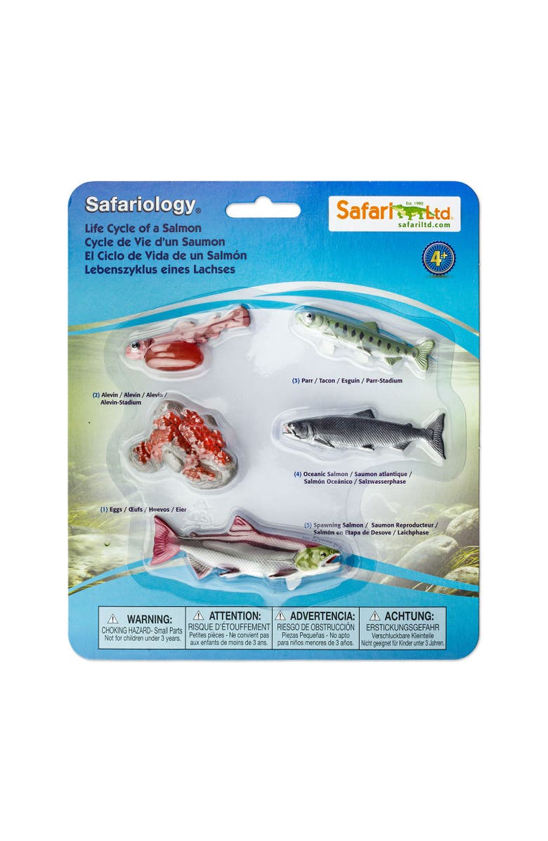 Safari Ltd. Life Cycle Of A Salmon, Main, color, 