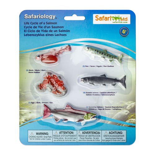 Safari Ltd. Life Cycle Of A Salmon 