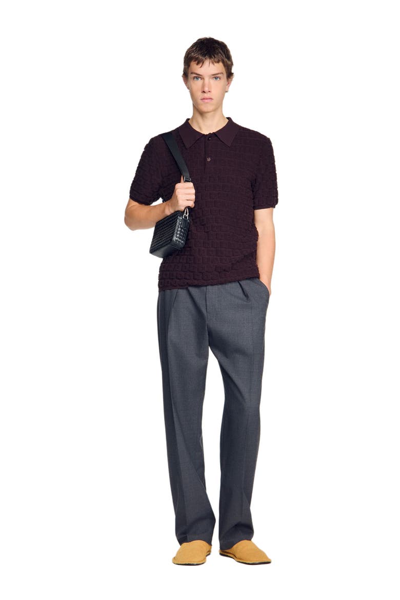 Terry knit polo shirt, Alternate, color, Chocolate