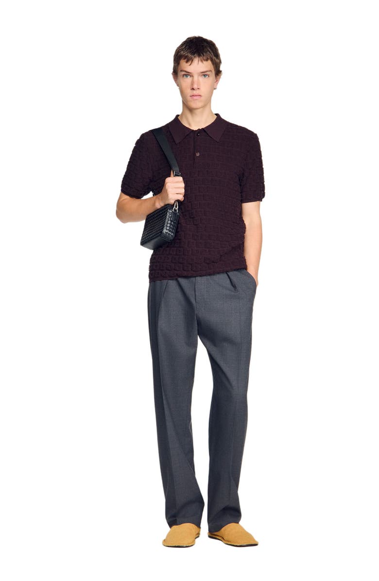 SANDRO Terry knit polo shirt, Alternate, color, Chocolate