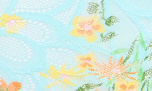 Savage X Fenty Savage Not Sorry Lace Cheeky Panties In Blue