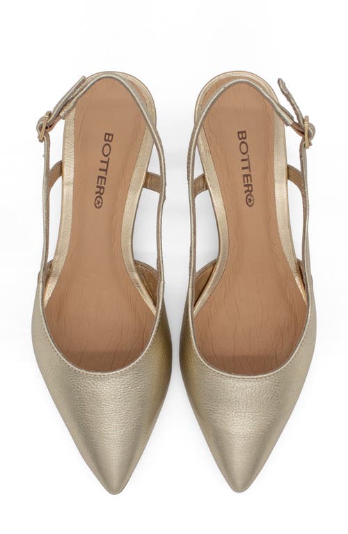Bottero Botolivia Legacy Pointed Toe Slingback Pump
