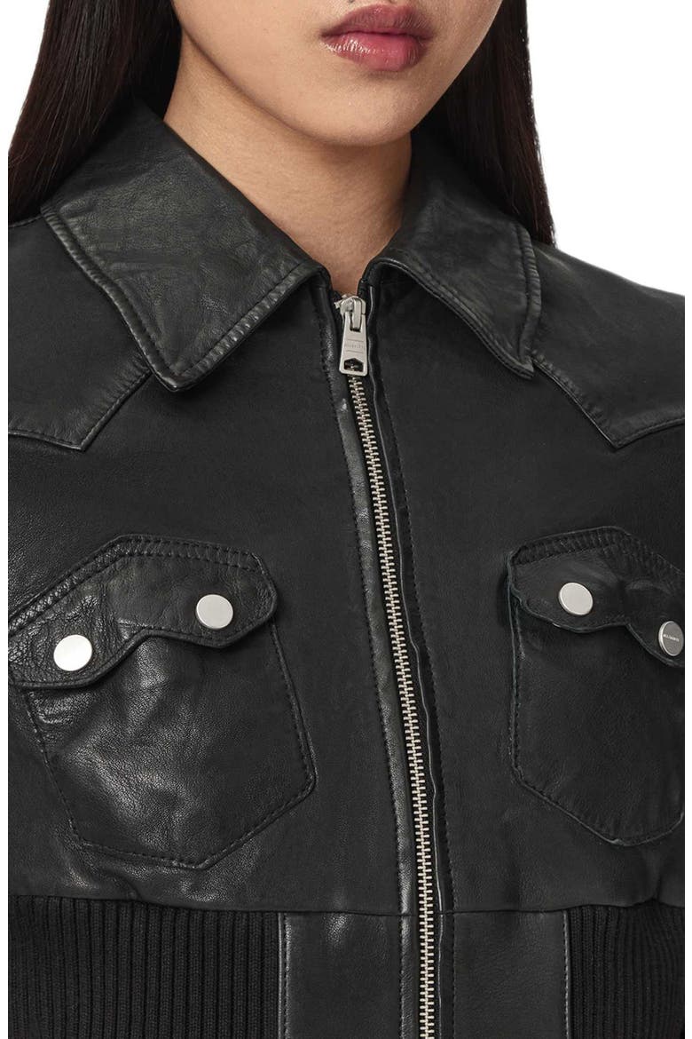 Lena Leather Jacket, Alternate, color, BLACK