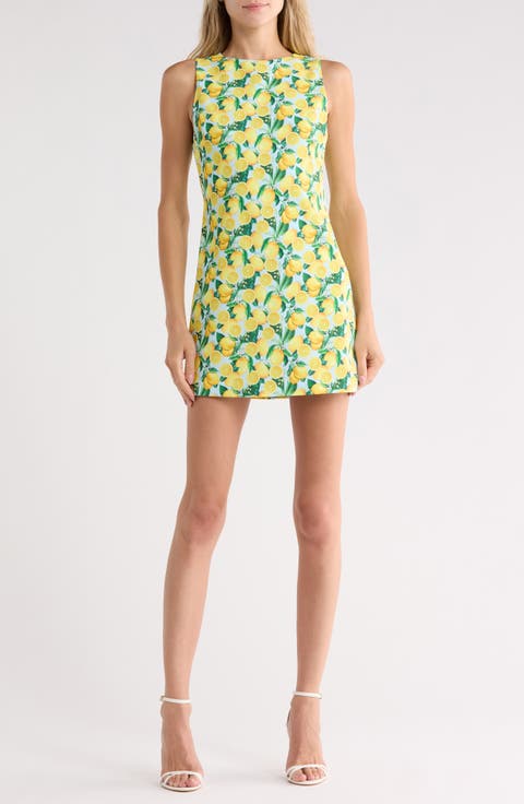 Clyde A-Line Shift Dress