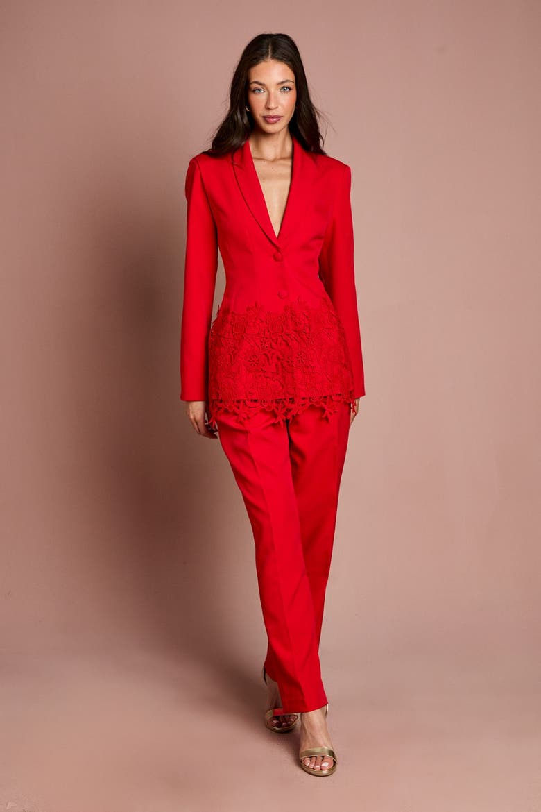Embroidered Single Breasted Blazer, Alternate, color, Red